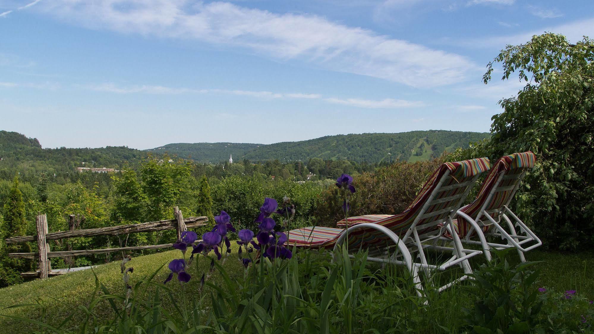 Le Petit Clocher Gite Touristique B & B Saint-Sauveur ภายนอก รูปภาพ