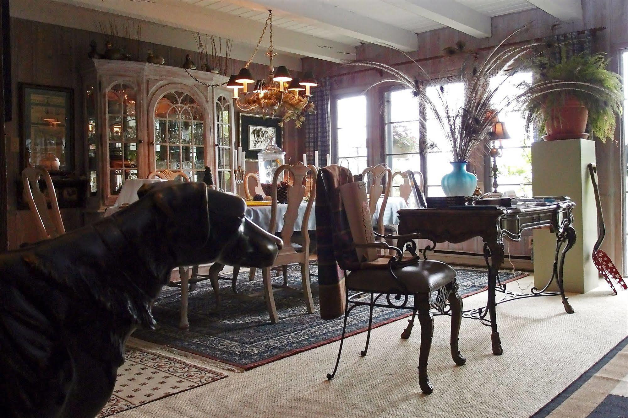 Le Petit Clocher Gite Touristique B & B Saint-Sauveur ภายนอก รูปภาพ